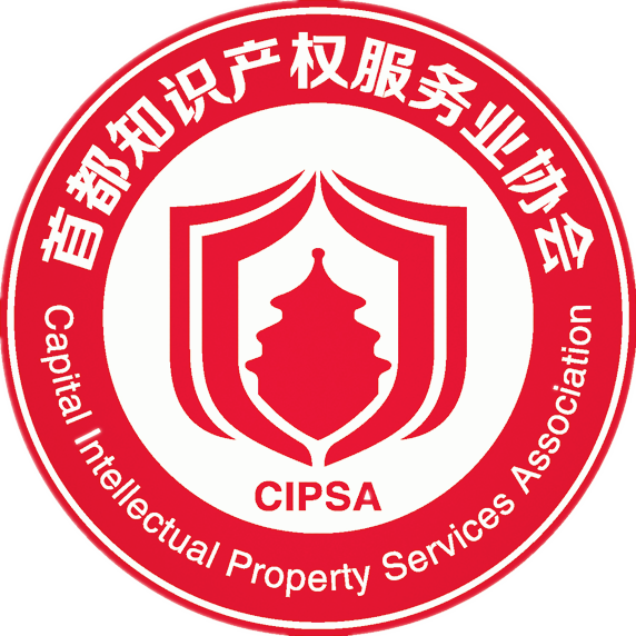 赋能创新力量，守护智慧成果——首都知识产权服务业协会概述