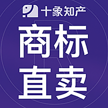 十象知识产权服务 专业守护您的创新成果