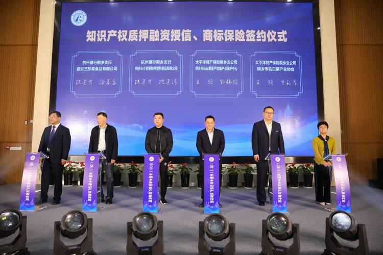 全面提速，全链条发力 嘉兴知识产权强市建设加码，打造保护高地与服务标杆